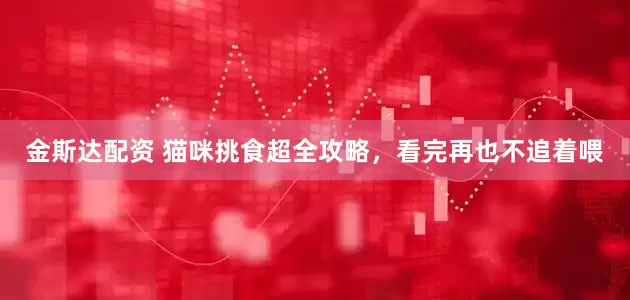 金斯达配资 猫咪挑食超全攻略，看完再也不追着喂